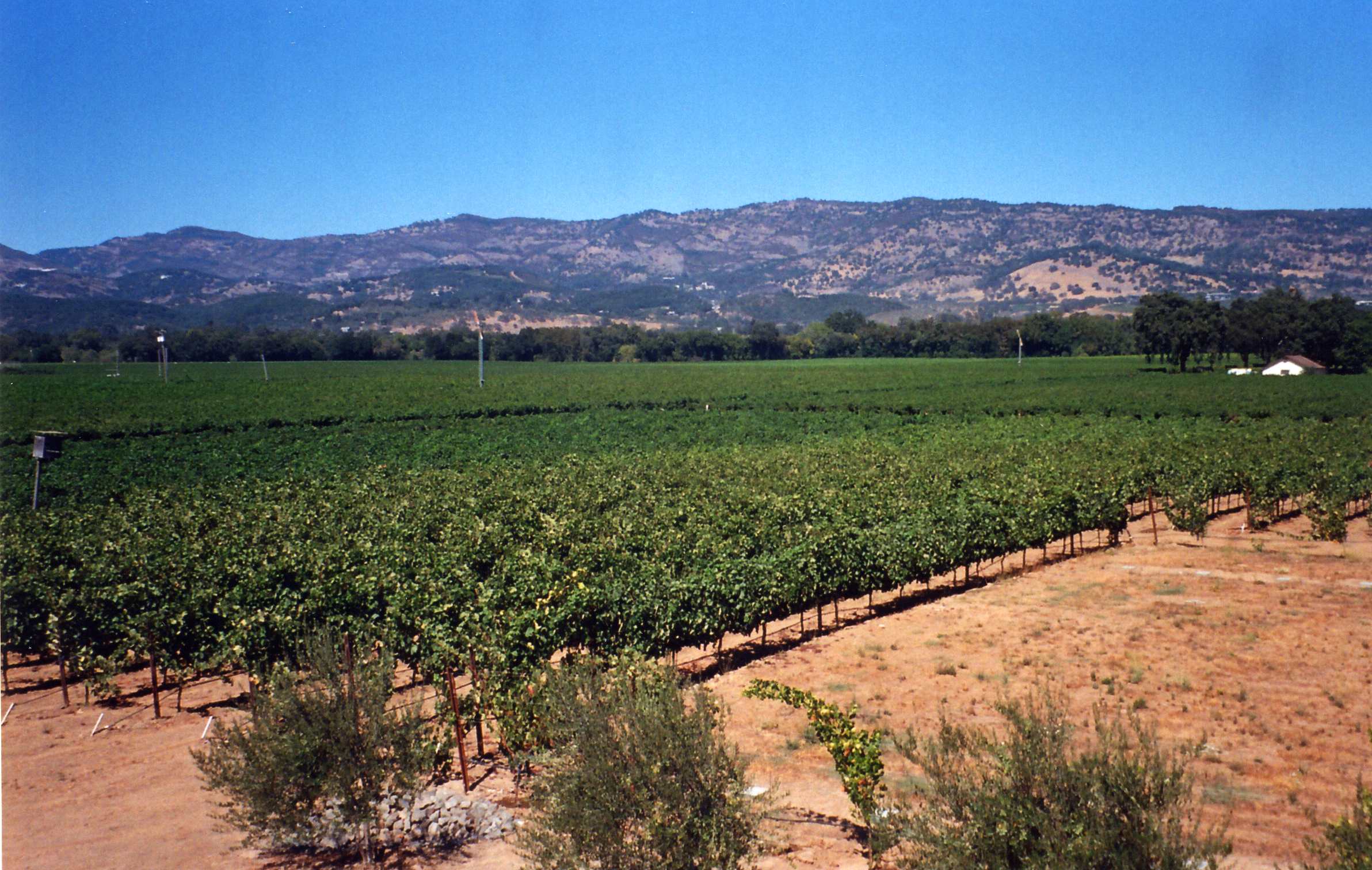 NapaRanch_Property2
