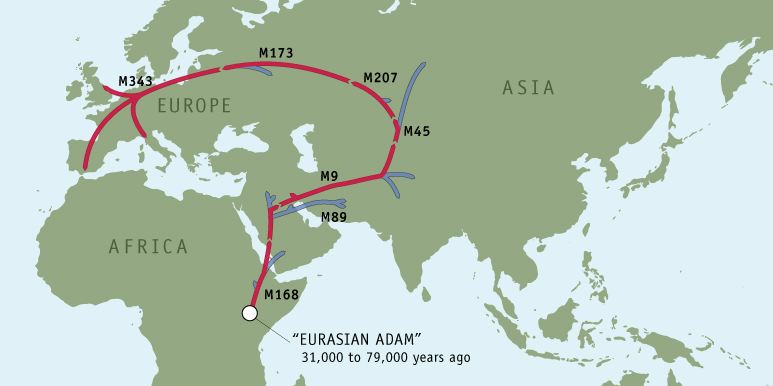 skinner genetic_map skinner genetic_map